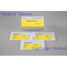 Suture chirurgicale - Suture chirurgicale de catgut simple avec aiguille